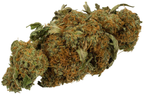 Weed Pins - Cannabis Bud