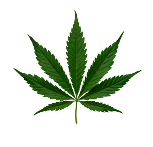 Weed Pins - Realistic Weed Leaf